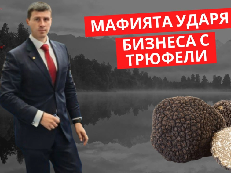 Декларация на Партия "Величие" от Ивелин Михайлов - Съсипването на бизнеса с трюфели!